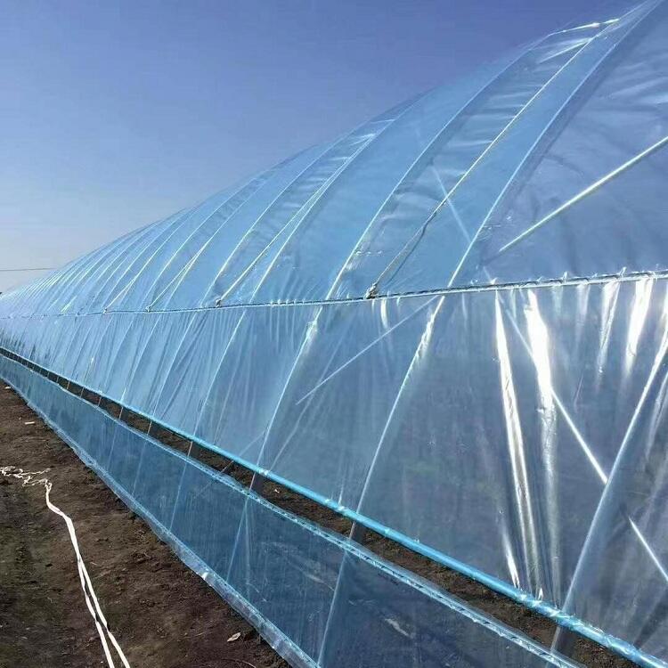 ҴS  ߲˷Nֲ  䓹 Lѩ