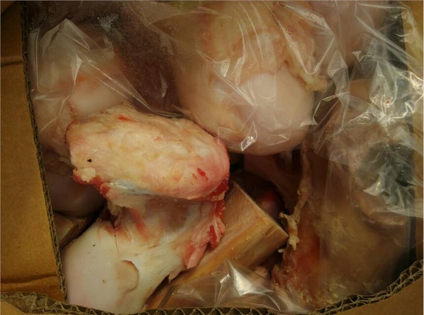 zķţţţcţlţţsţl