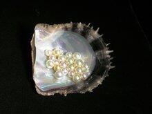 տMڈPСNʿձPϪغˮ朶