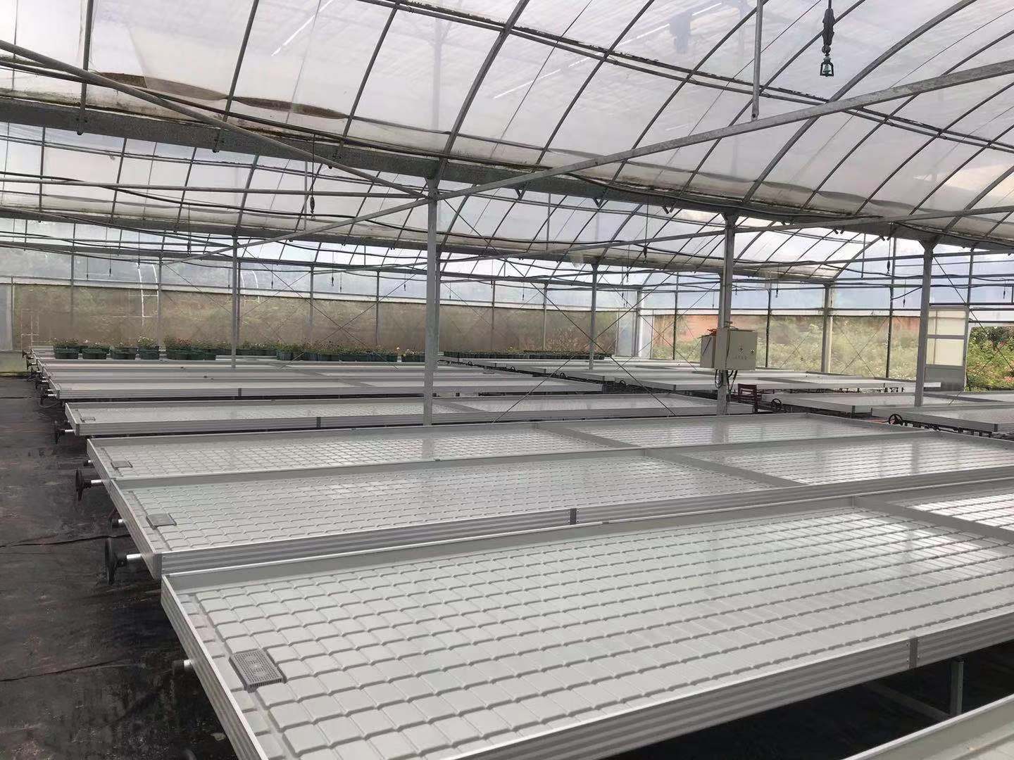 oƄʽ紲WƬ紲W\ˇҎRȫ