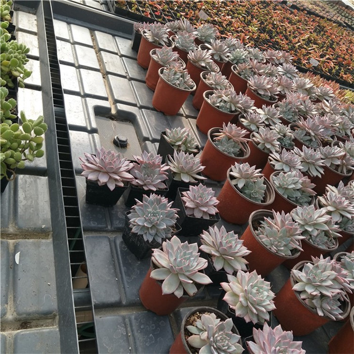 紲rIþ߳ϫ紲aSABS|\ˇ