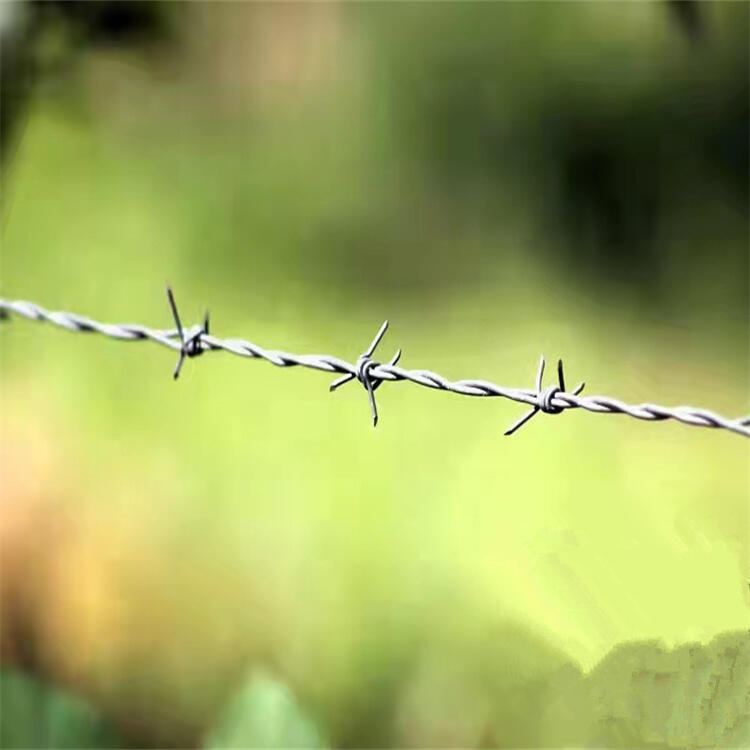 ӱF؛QKSҹϾιɷP䓽zKK\̽zK