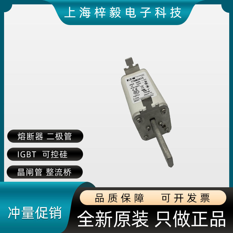 ԭbBUSSMANN˹۔170M3815