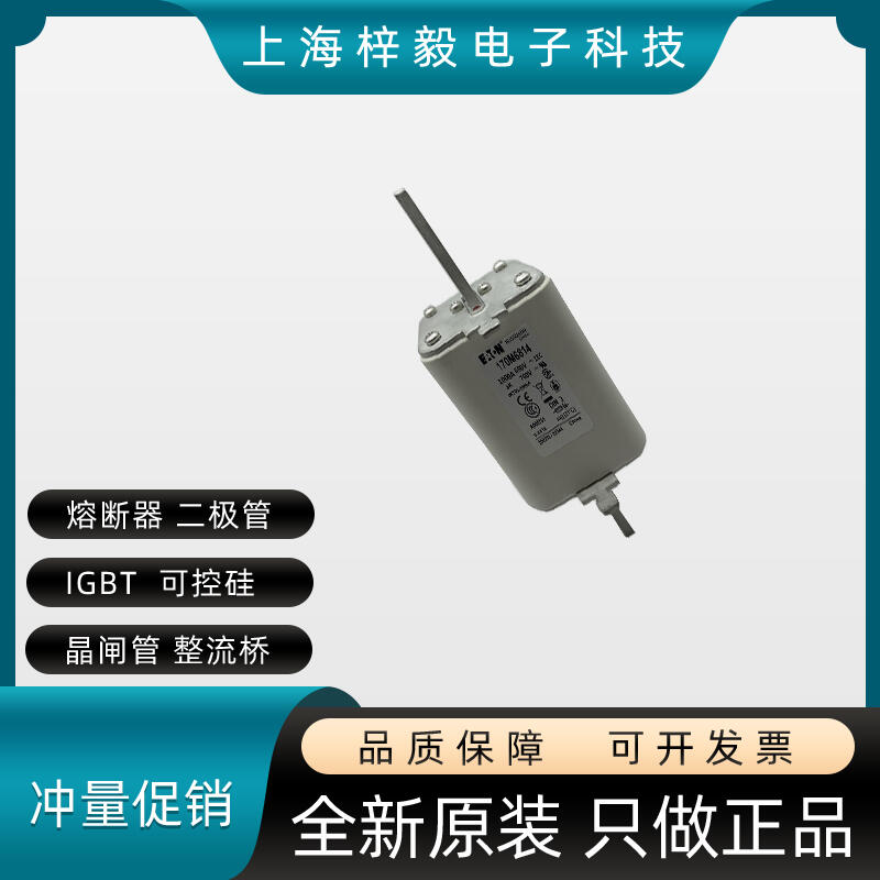 ԭbBUSSMANN˹۔170M6814