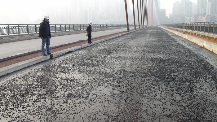 h֬۰֬֬hԃʩ