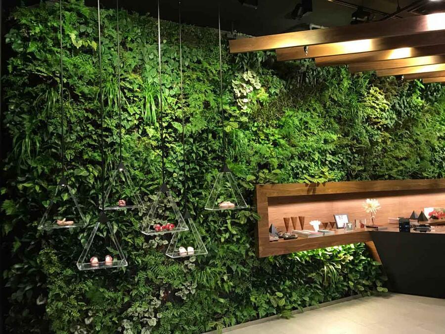 ^BGOӋ҃bֲֲGֲb