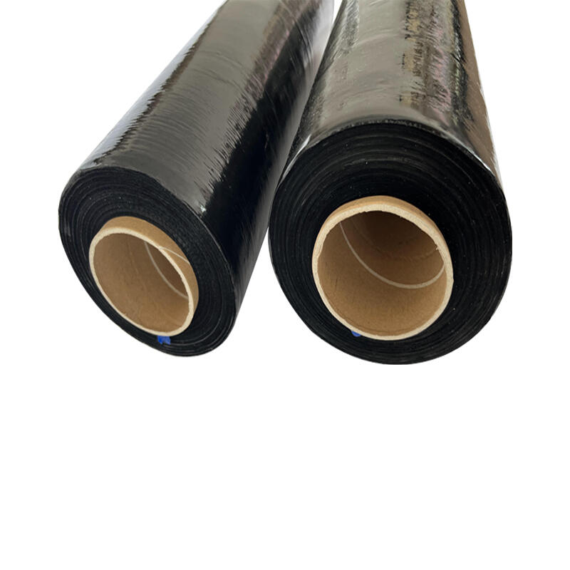 Mp@ĤĤ͸ĤIĤSҬF؛ֱN