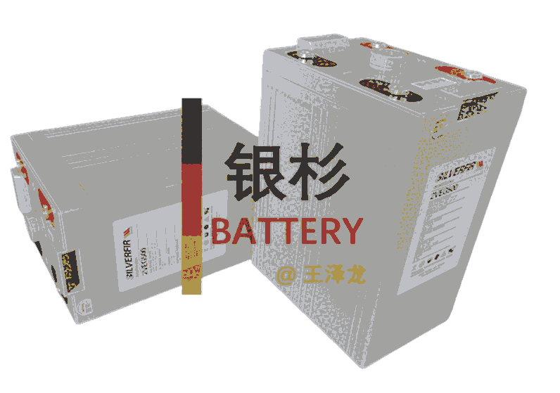 yɼ(SILVERFIR)늳 2VEG800 Դ_l