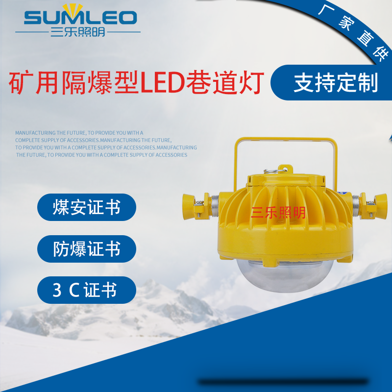 DGS30/127L(A) VøLED