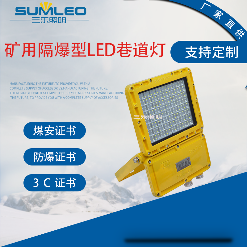 DGS150/127L(A)VøLED