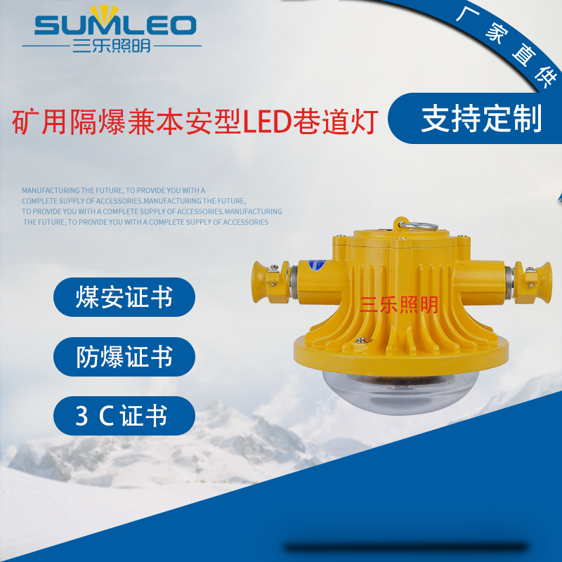 DJS24/127L(A) Vø汾LED