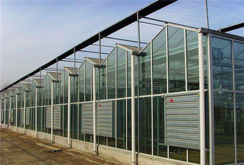 ɴ_ꖹⷿ_ĢNֲ