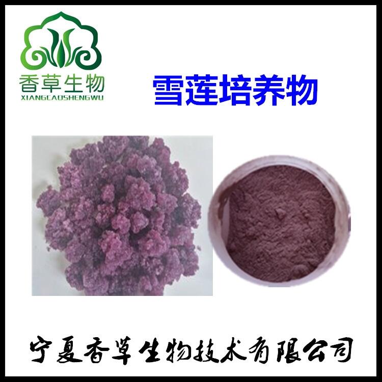 ѩɏB ѩɏB ѩɏBȡ10:1