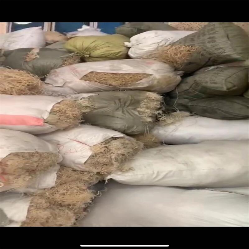 㽭ƫϩ-NUٽz߅ǣˮ-߃r