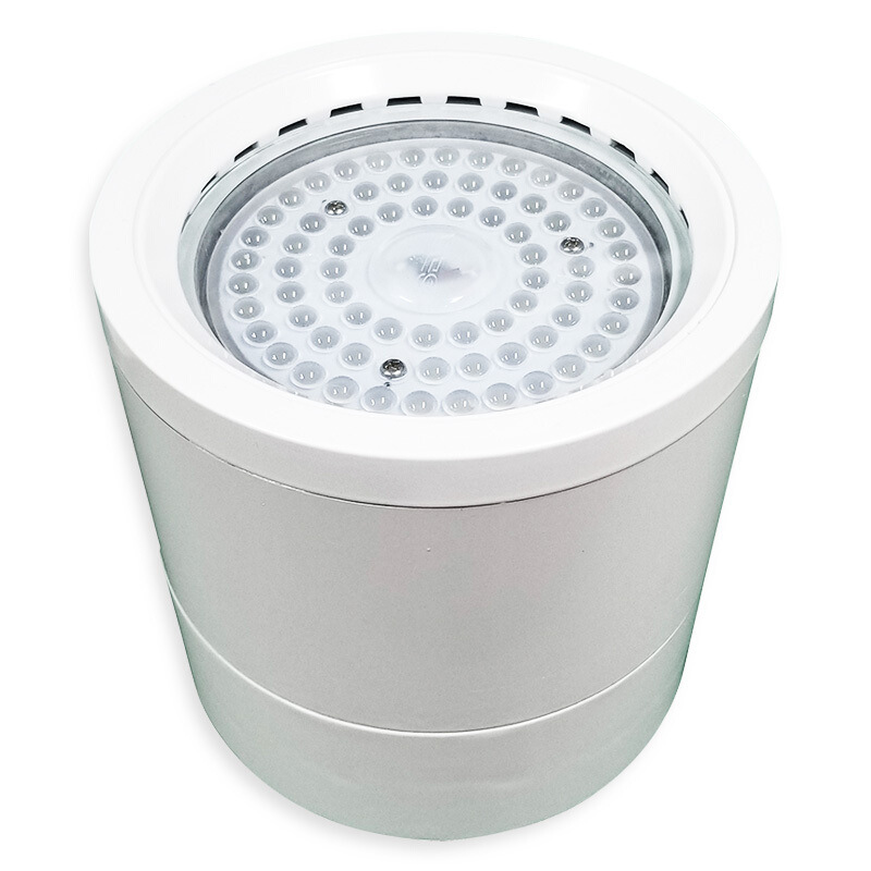 RLEHB301-IV̶ʽLEDǶʽ