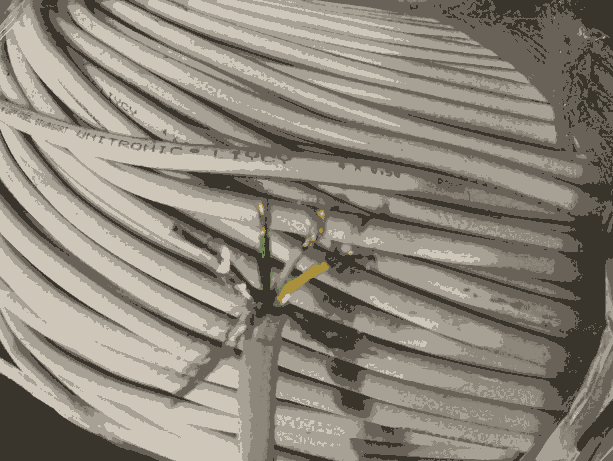 4о0.5ƽξ |UNITRONIC LIYCY 4*0.5 ROHS a~W