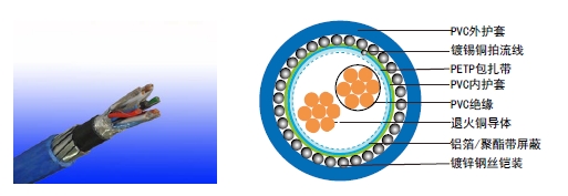 | RE-Y (St) YSWAY zb΃x|