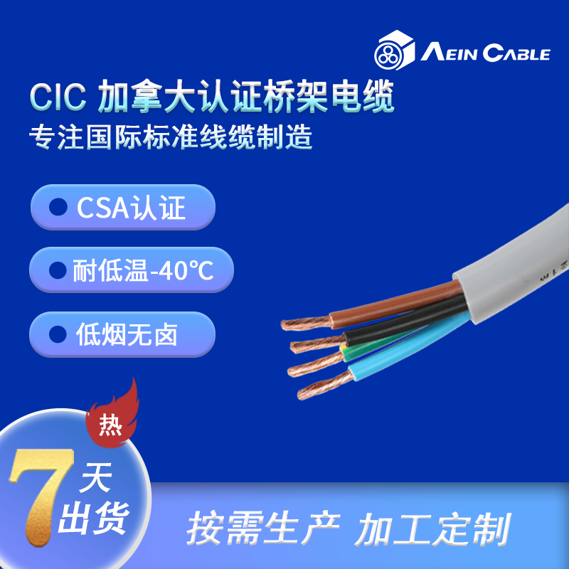 CSA JC CIC бP| ͟ou͵͜عIԴ|