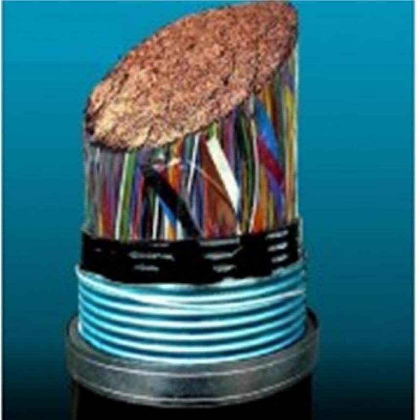 HYA23-400*2*0.4zbͨ|