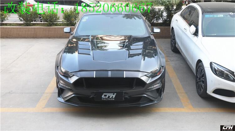 18-19¿ҰRb̼wS͸lәCwœMustangɢw