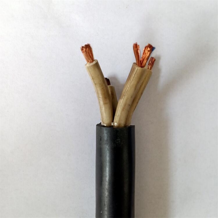  MKVVRVȼ| MKVVPV| aƷ̖ҎRȫо