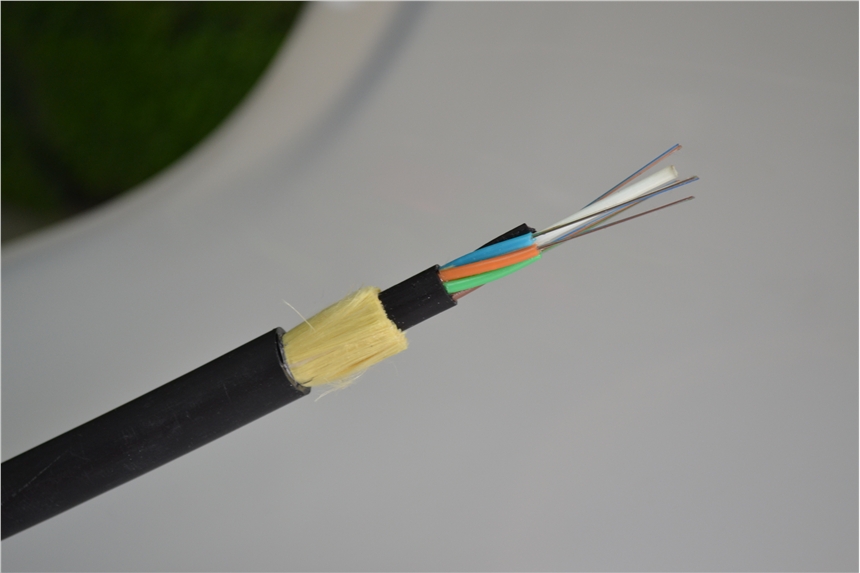 SҹADSS-48B1-100-PEȫ|Գʽ|