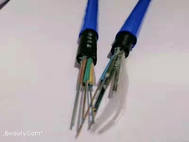 ׵VͨŹ|MGTSV-24BúCRȫSֱN