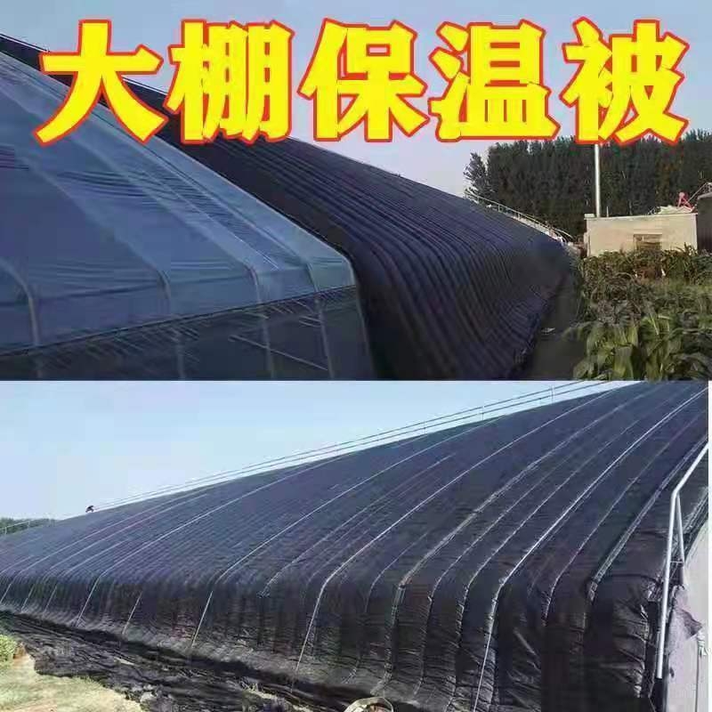 Bֳﻨܴ߲˴ﶬ؂ޱﱣر