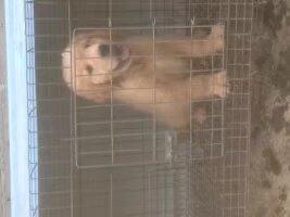 VҎļuëȮVݽëȮ֮