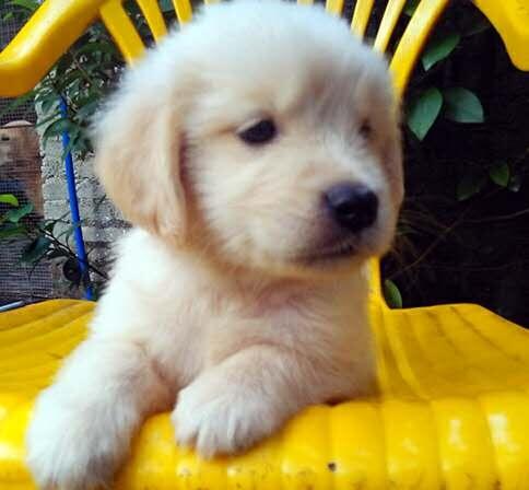 VЌﹷuVݽëȮ֮ңֱNN