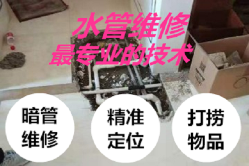 ̫ԭ֎TSˮܙzy©ˮc ů©ˮzyԒ