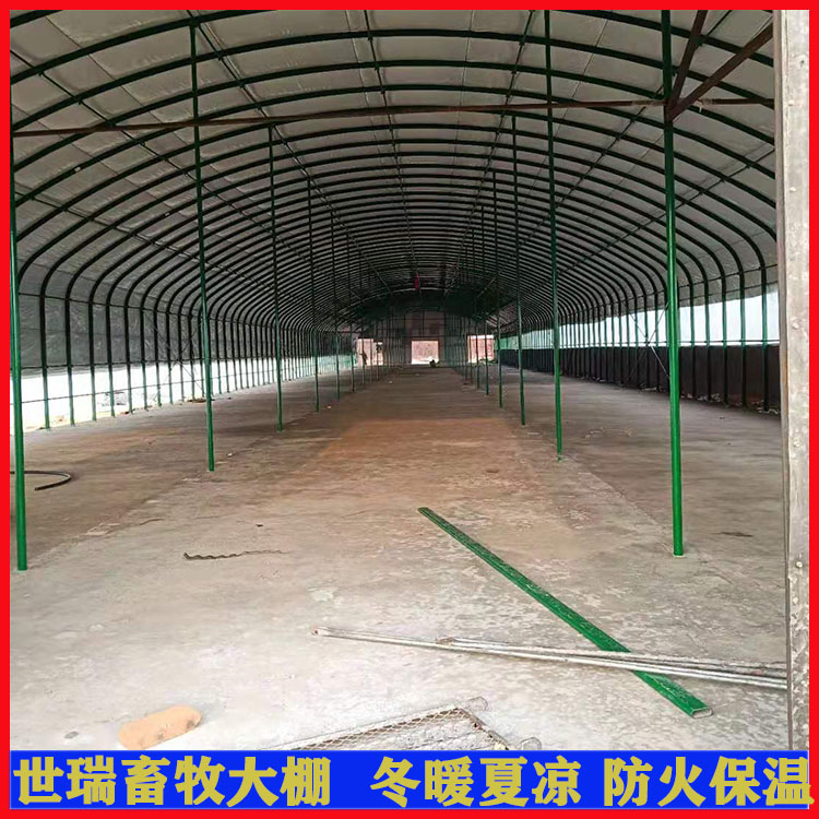 BţʩOӋ ţ ţBֳﰲb