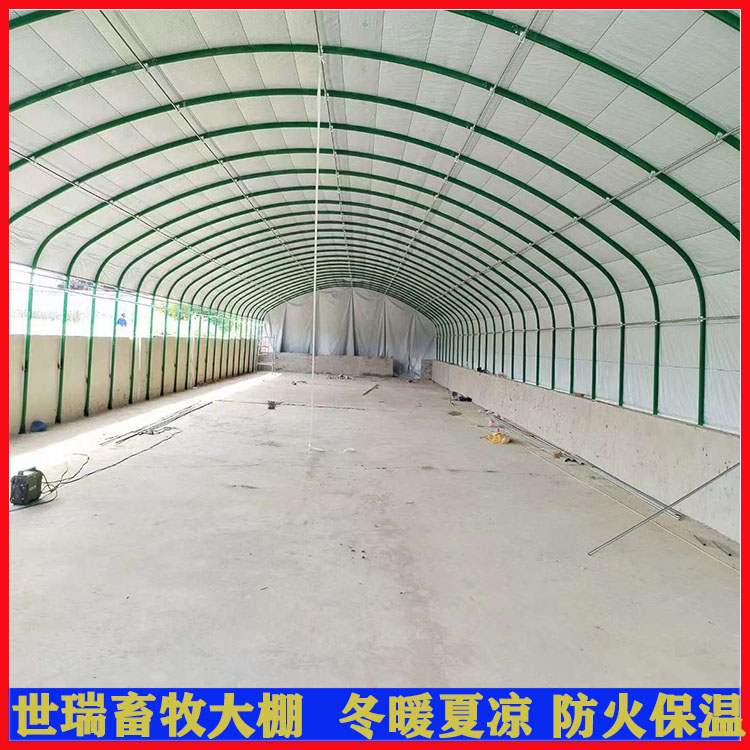 BZｨO ɢBZ uZBֳﰲbS