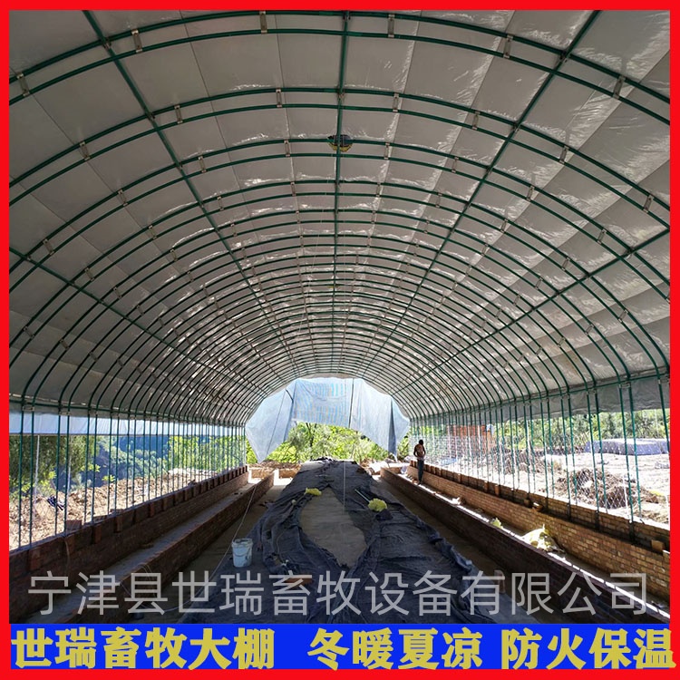 BZ ɢBZｨO ZﰲbS