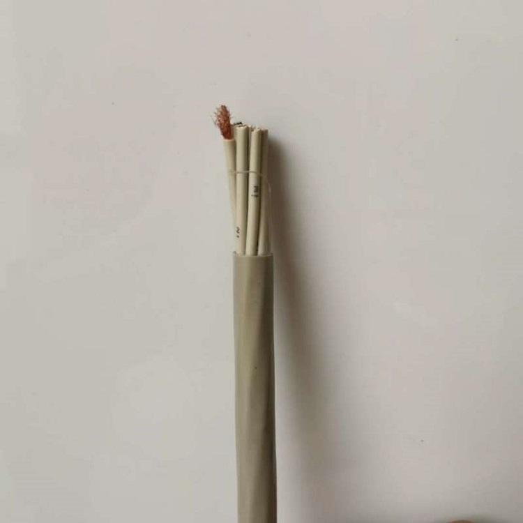 ʲ٤늾|WDZN-RYSP-2*1.5