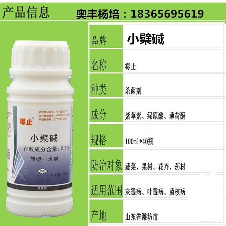 S˪ùʲôˎЧ rˎùֹSֱN