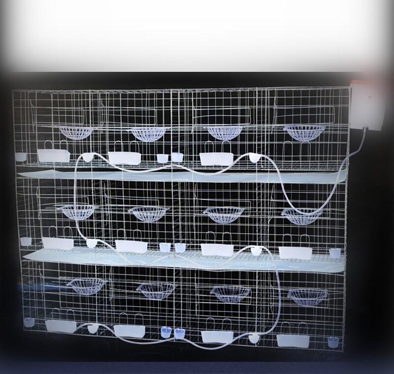 Slӻ\ ̖ӻ\ BֳӴ䌦\ ֳ\S