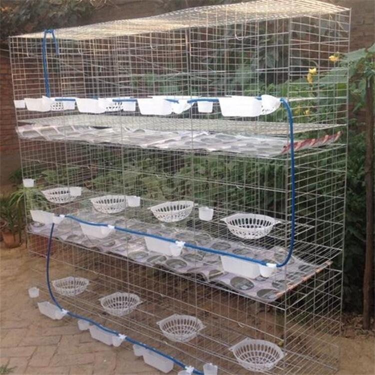 SҬF؛|\ 416\λӴӻ\ \l