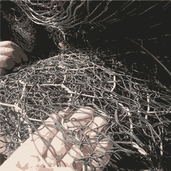 oӽˉ|@oӽˉ|@oӽˉ|S