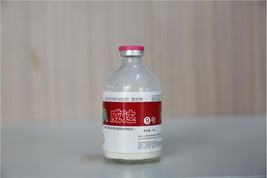 _9̖ṩcUwζЧr ϵԒ