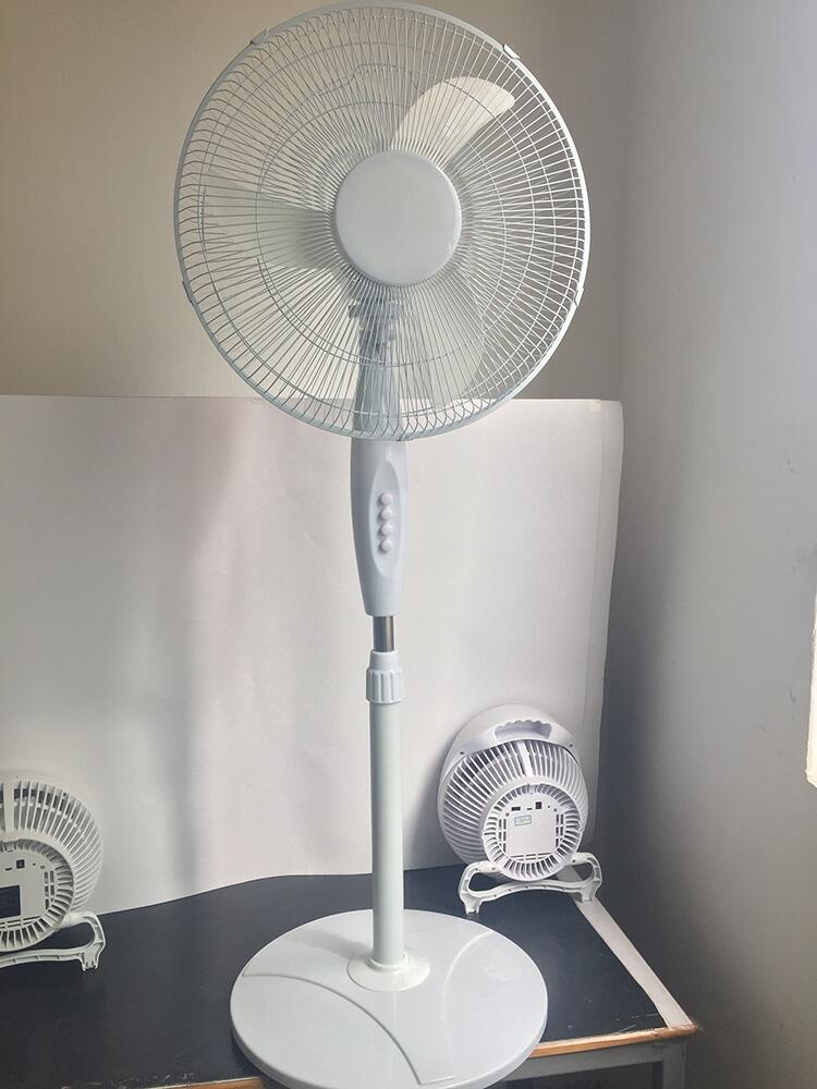 ρ161812vֱoˢ10w1300DBLDC̫L