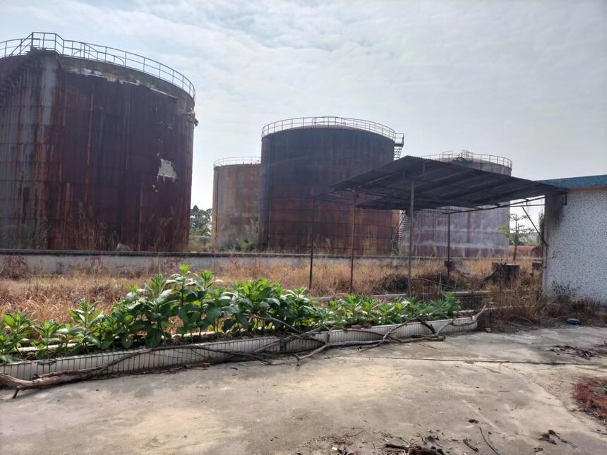 ϴ͹޻SOIϴ\Ş鱾u