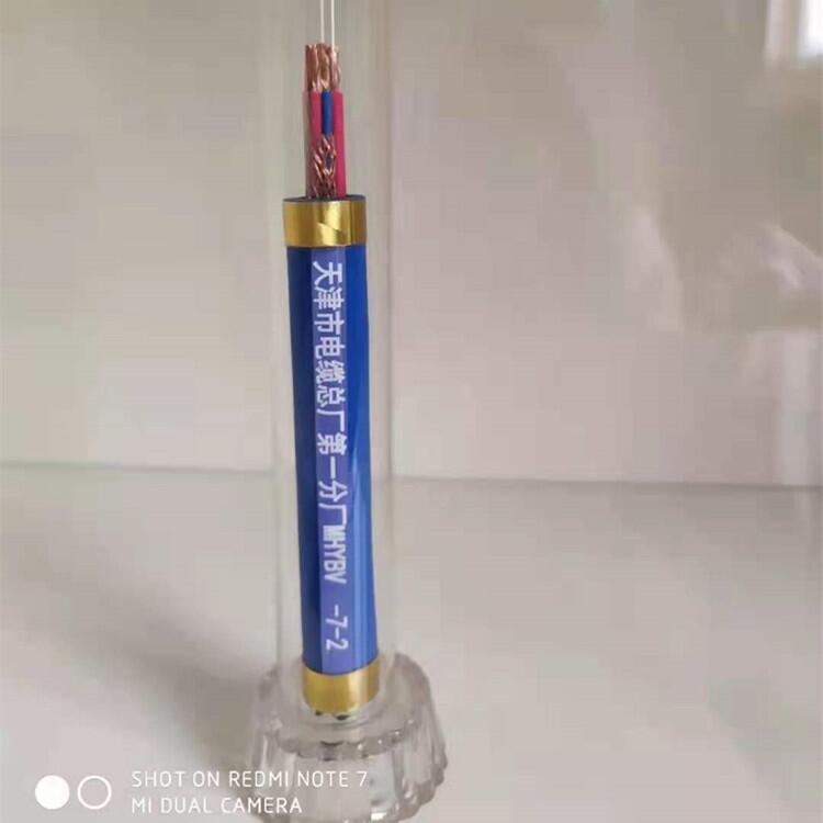 V|MHYSV-50X2X0.8V^ͨ|