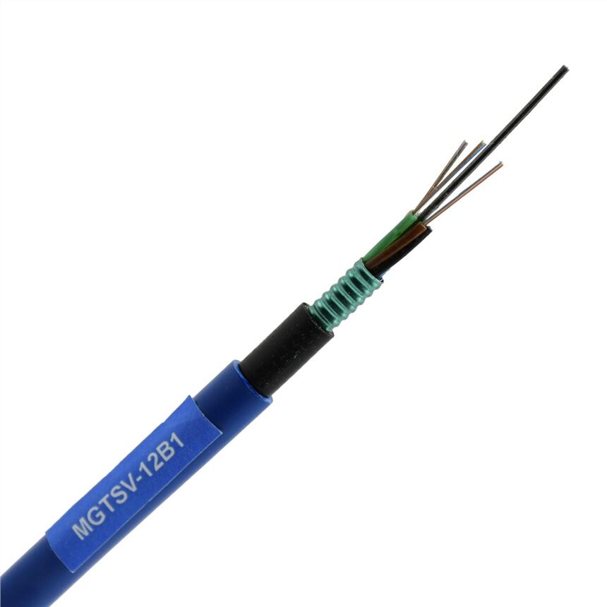 Vù|aS|||||MGTSVVù|