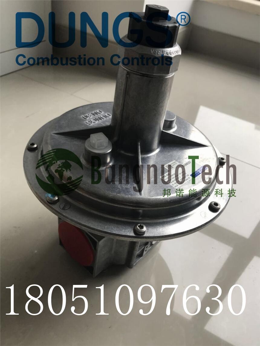 ˹ DUNGS ȼ{y FRS520 DN50 Rp2