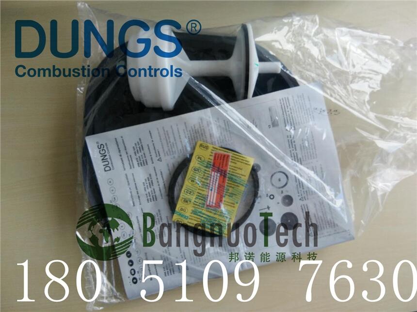 ˹ DUNGS  {y FRS5100  ĤƬ Sް