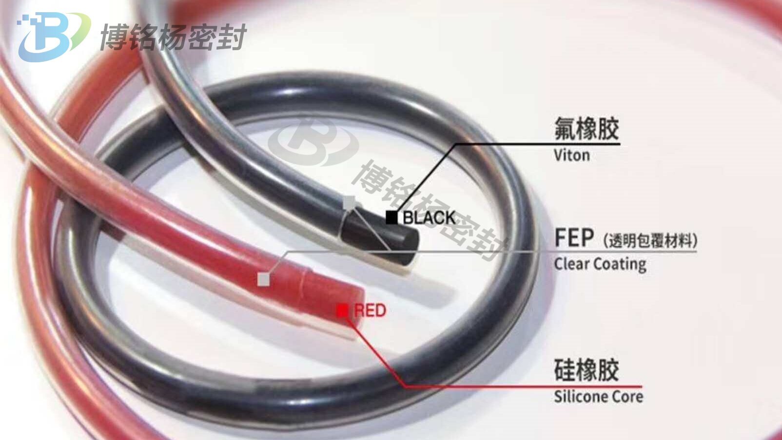 PTFE/FPA/FEPȦ/طͿOܷȦFKM/SILܷȦ