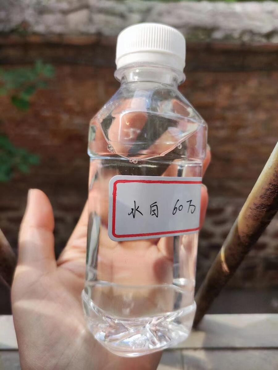 ~ɽ|R|̼ԴSһ[2022Ѹ(/YӍ)