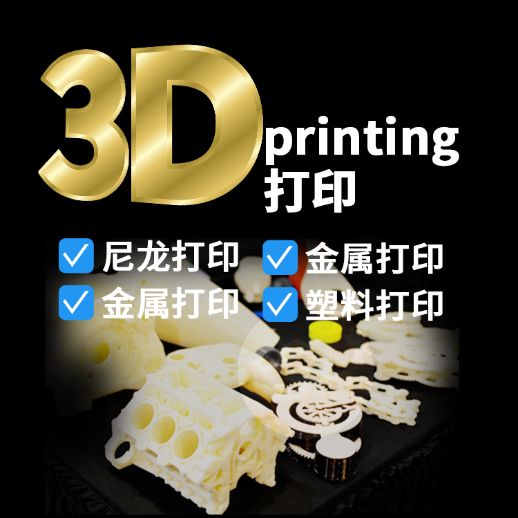 3Dӡ͸ˇƷ-п׶CASAIM