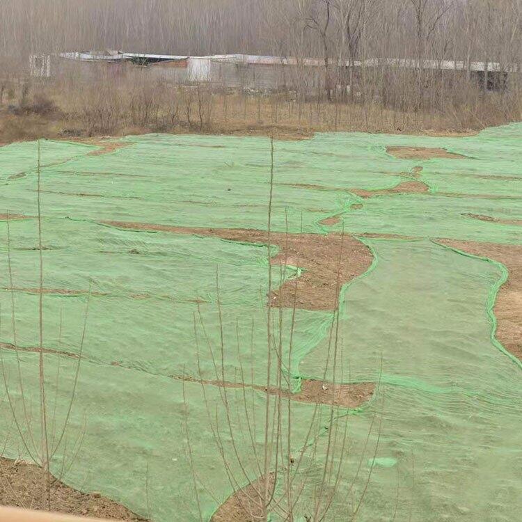 wúW SֱNGɫwúWhmwúWᘾGɫmWaS